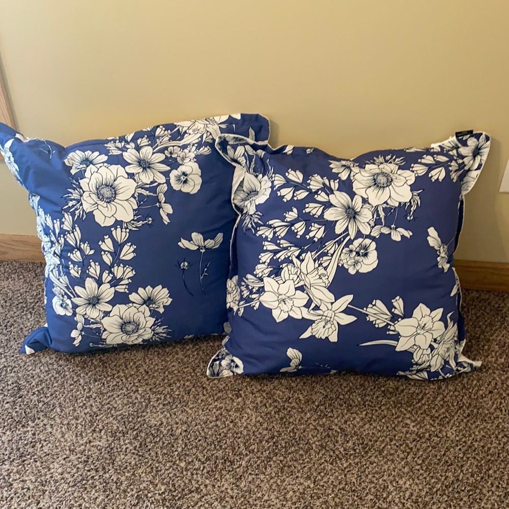Large Pillows